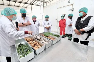 Obat Sipilis Di Apotik
